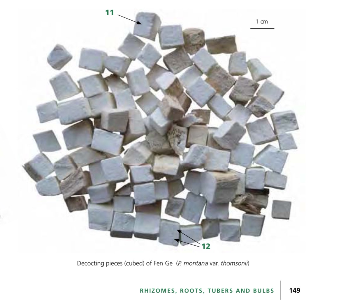 Pueraria lobata root slice